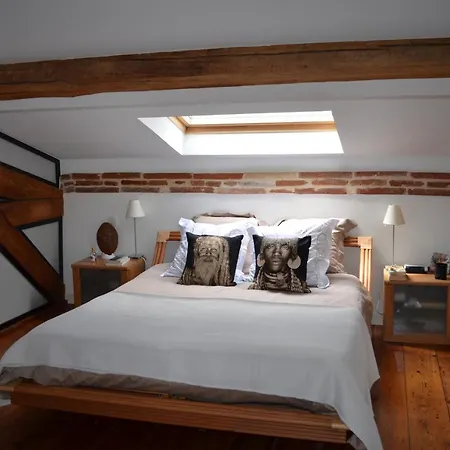 Guest house Maison Toulousaine Lauma Toulouse