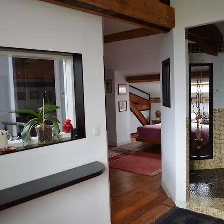 Maison Toulousaine Lauma Guest house *